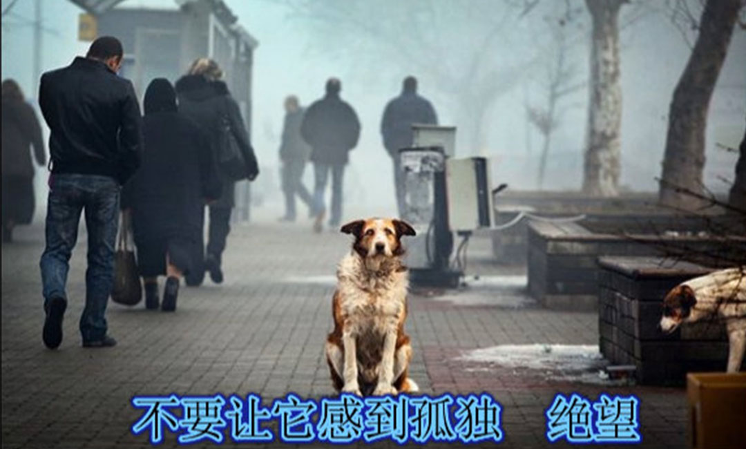 辽宁辽宁爱影圈微博微信转发案例